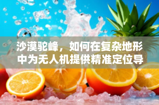 沙漠驼峰，如何在复杂地形中为无人机提供精准定位导航？