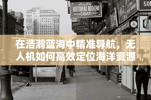在浩瀚蓝海中精准导航，无人机如何高效定位海洋资源？