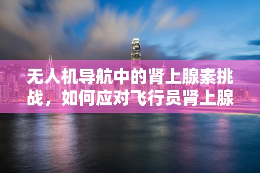 无人机导航中的肾上腺素挑战，如何应对飞行员肾上腺疾病对定位精度的影响？
