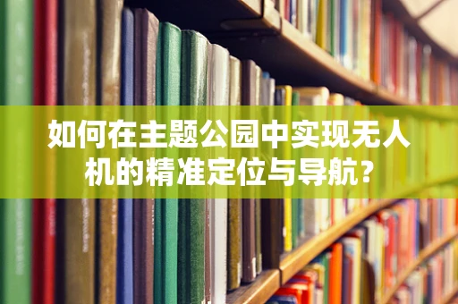 如何在主题公园中实现无人机的精准定位与导航？