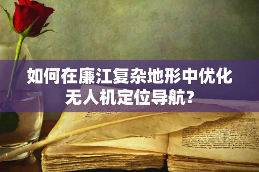 如何在廉江复杂地形中优化无人机定位导航？
