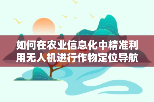 如何在农业信息化中精准利用无人机进行作物定位导航？
