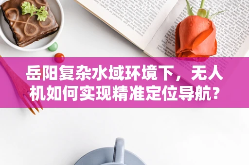 岳阳复杂水域环境下，无人机如何实现精准定位导航？