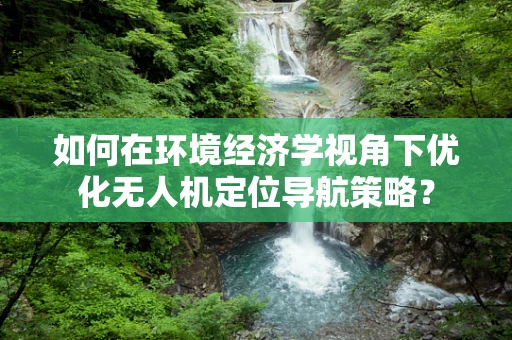 如何在环境经济学视角下优化无人机定位导航策略？