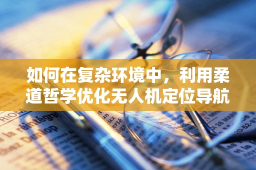 如何在复杂环境中，利用柔道哲学优化无人机定位导航的‘平衡’策略？
