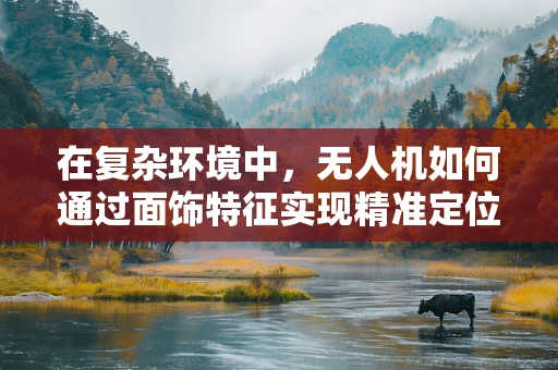 在复杂环境中，无人机如何通过面饰特征实现精准定位导航？