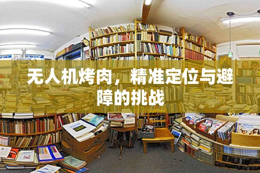 无人机烤肉，精准定位与避障的挑战