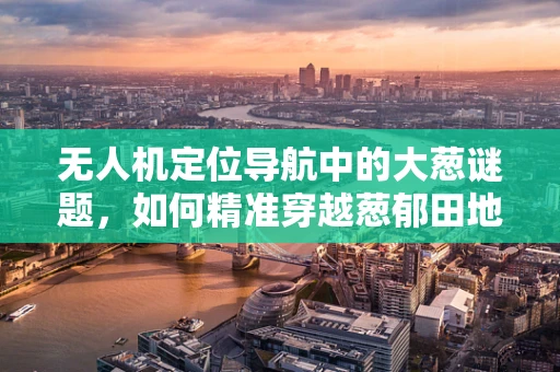 无人机定位导航中的大葱谜题，如何精准穿越葱郁田地？