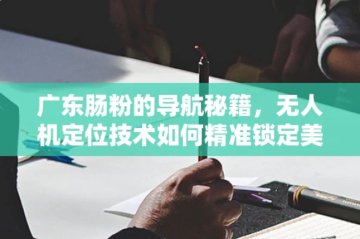 广东肠粉的导航秘籍，无人机定位技术如何精准锁定美食坐标？