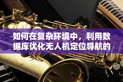 如何在复杂环境中，利用数据库优化无人机定位导航的准确性？
