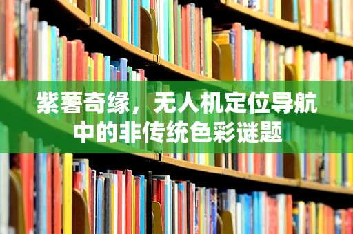 紫薯奇缘，无人机定位导航中的非传统色彩谜题