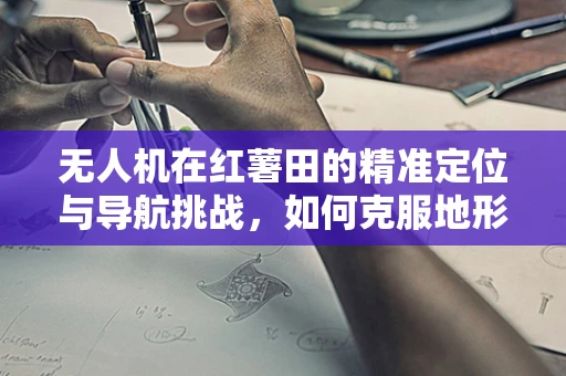 无人机在红薯田的精准定位与导航挑战，如何克服地形障碍？