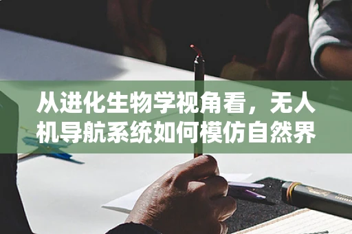 从进化生物学视角看，无人机导航系统如何模仿自然界的导航智慧？