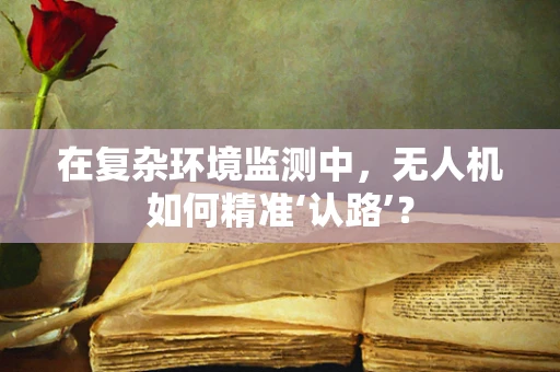 在复杂环境监测中，无人机如何精准‘认路’？