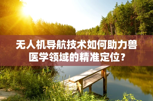 无人机导航技术如何助力兽医学领域的精准定位？