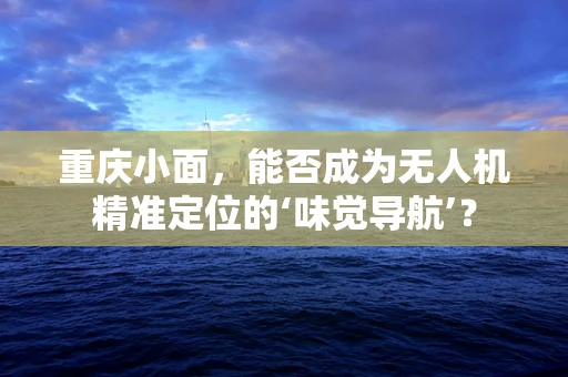 重庆小面，能否成为无人机精准定位的‘味觉导航’？