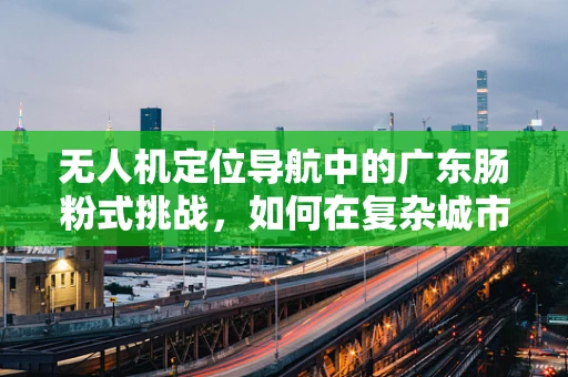 无人机定位导航中的广东肠粉式挑战，如何在复杂城市环境中精准导航？