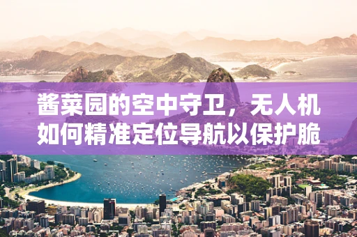 酱菜园的空中守卫，无人机如何精准定位导航以保护脆弱的作物？
