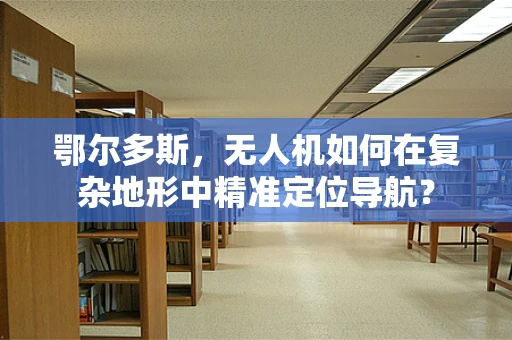 鄂尔多斯，无人机如何在复杂地形中精准定位导航？