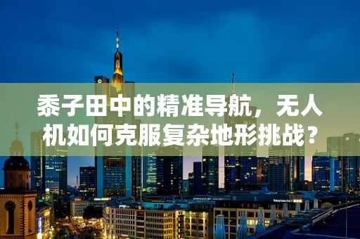 黍子田中的精准导航，无人机如何克服复杂地形挑战？
