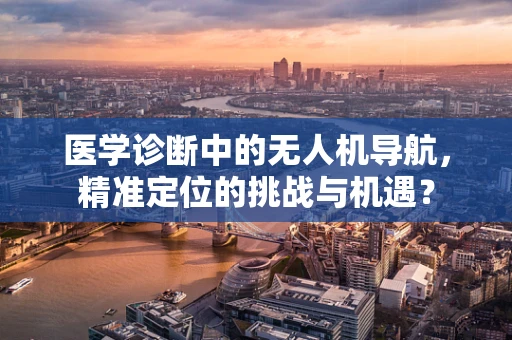 医学诊断中的无人机导航，精准定位的挑战与机遇？