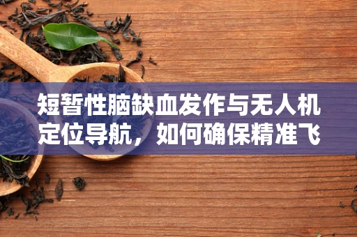 短暂性脑缺血发作与无人机定位导航，如何确保精准飞行？