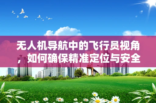 无人机导航中的飞行员视角，如何确保精准定位与安全飞行？