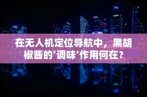 在无人机定位导航中，黑胡椒酱的‘调味’作用何在？