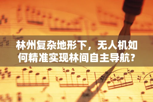 林州复杂地形下，无人机如何精准实现林间自主导航？