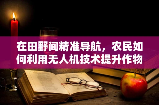 在田野间精准导航，农民如何利用无人机技术提升作物管理效率？