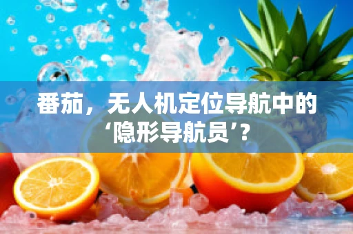 番茄，无人机定位导航中的‘隐形导航员’？