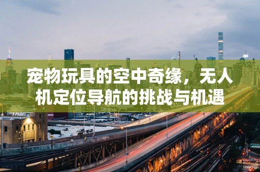 宠物玩具的空中奇缘，无人机定位导航的挑战与机遇