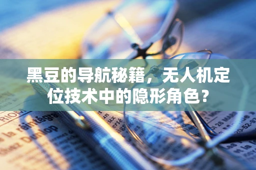 黑豆的导航秘籍，无人机定位技术中的隐形角色？