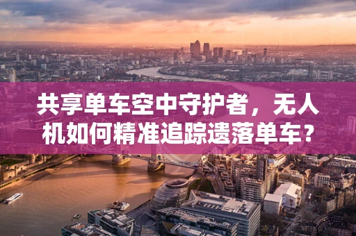 共享单车空中守护者，无人机如何精准追踪遗落单车？