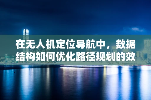 在无人机定位导航中，数据结构如何优化路径规划的效率与准确性？