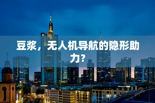 豆浆，无人机导航的隐形助力？