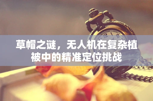 草帽之谜，无人机在复杂植被中的精准定位挑战
