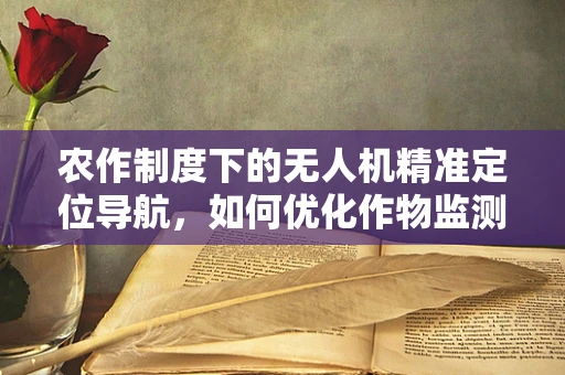 农作制度下的无人机精准定位导航，如何优化作物监测？