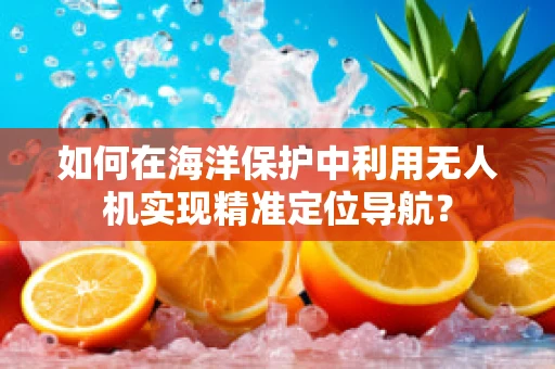 如何在海洋保护中利用无人机实现精准定位导航？