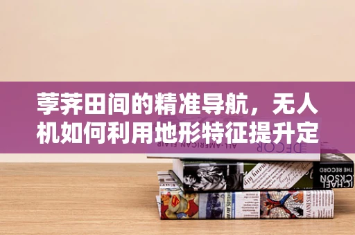荸荠田间的精准导航，无人机如何利用地形特征提升定位精度？