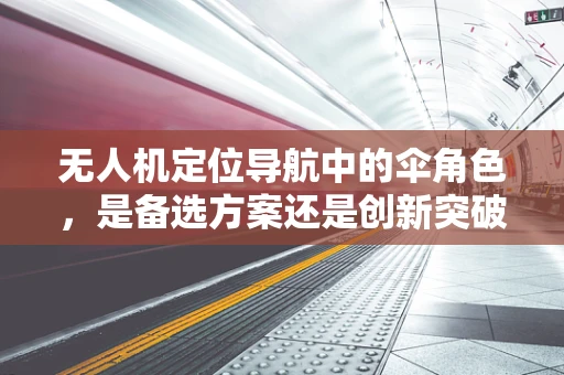 无人机定位导航中的伞角色，是备选方案还是创新突破？