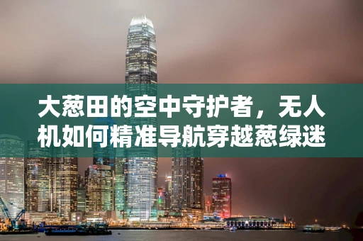 大葱田的空中守护者，无人机如何精准导航穿越葱绿迷宫？