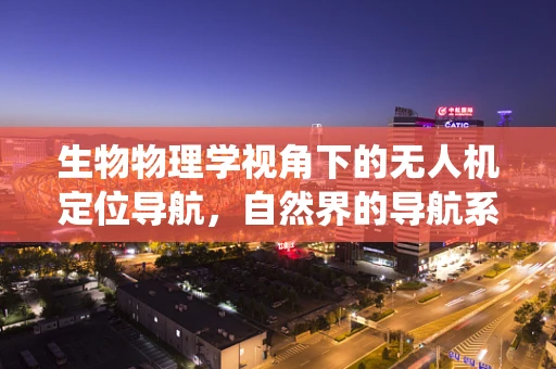 生物物理学视角下的无人机定位导航，自然界的导航系统能给予我们哪些启示？