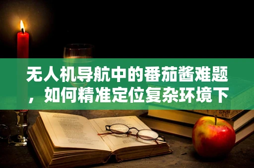 无人机导航中的番茄酱难题，如何精准定位复杂环境下的飞行路径？