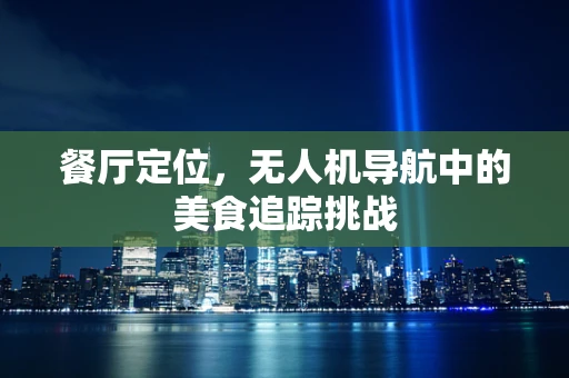 餐厅定位，无人机导航中的美食追踪挑战