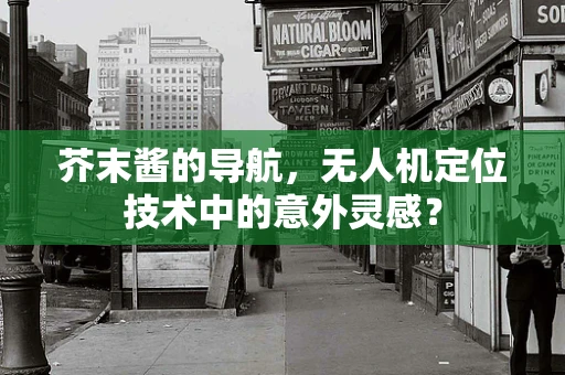 芥末酱的导航，无人机定位技术中的意外灵感？