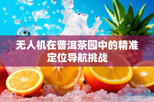 无人机在普洱茶园中的精准定位导航挑战