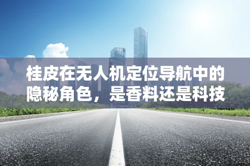 桂皮在无人机定位导航中的隐秘角色，是香料还是科技密钥？