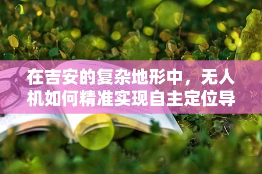 在吉安的复杂地形中，无人机如何精准实现自主定位导航的挑战？