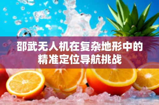 邵武无人机在复杂地形中的精准定位导航挑战